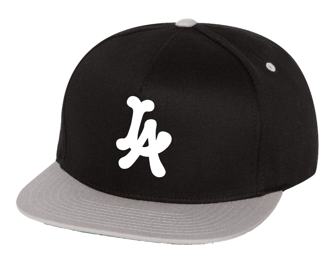 Dirty Laundry LA Snapback