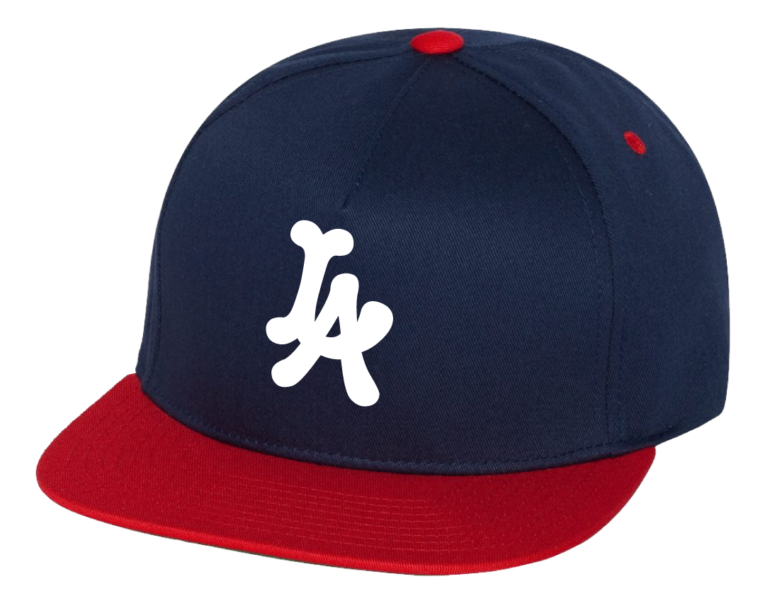 Dirty Laundry LA Snapback